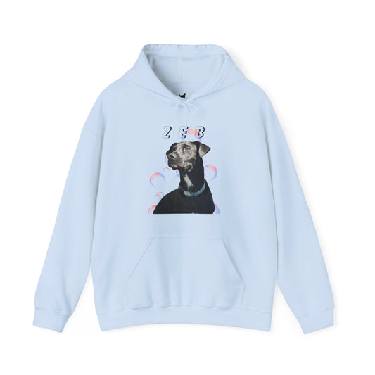 "Heads or Tails" Unisex Heavy Blend™ Hooded Sweatshirt