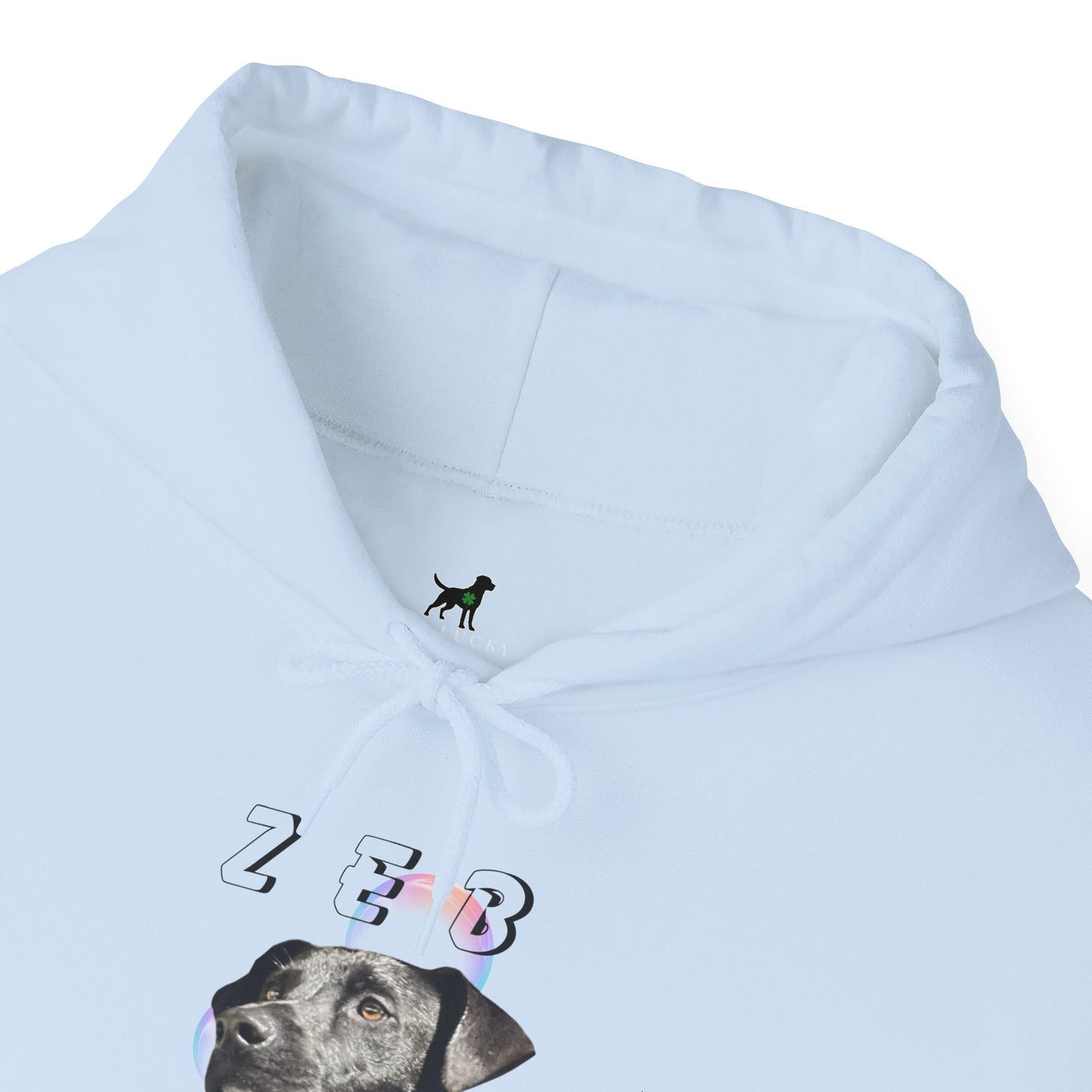 "Heads or Tails" Unisex Heavy Blend™ Hooded Sweatshirt